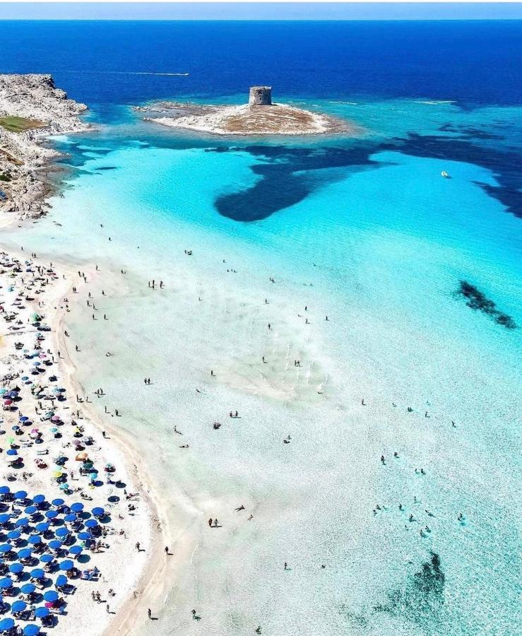 La Dolce Vita , Fronte Mare Castelsardo Exterior foto